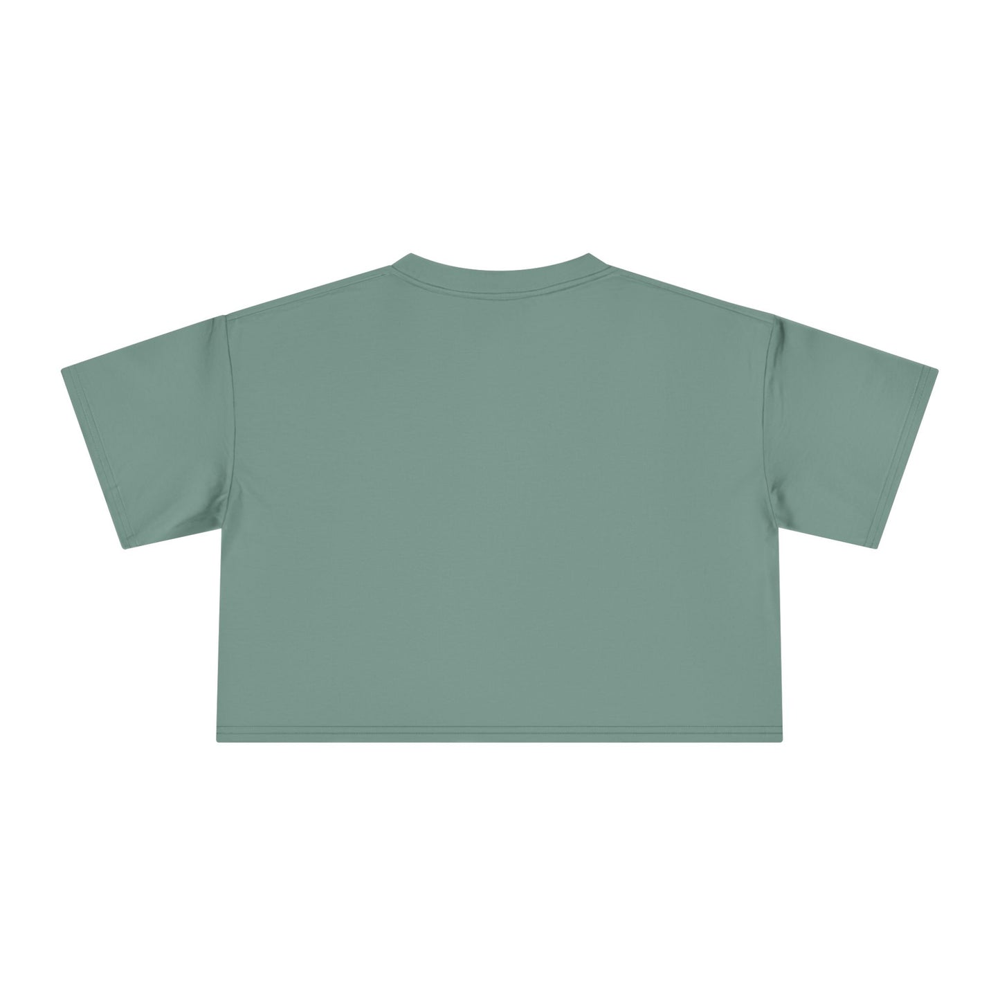 WinterHaven Retro Women's Crop Tee (Multiple Colors)